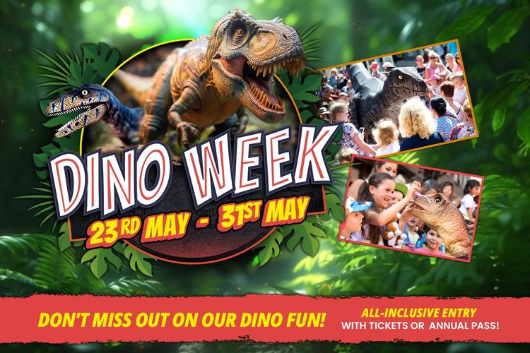 UK Family Days Out Weekly Round Up 15th May 2026 - Image