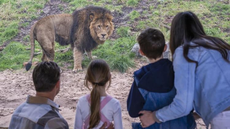 UK Family Days Out Weekly Round Up 29th May 2026 - Image