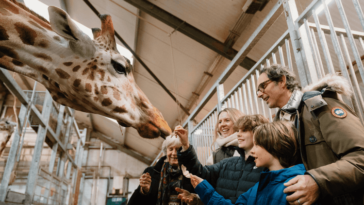 UK Family Days Out Weekly Round Up 19th June 2026 - Image